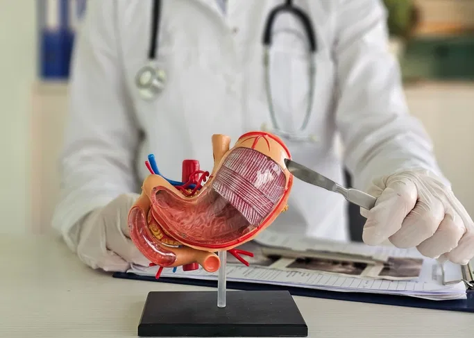 Your Guide to Successful Weight Loss: How Gastric Sleeve and Bypass Can Support Long-Term Results